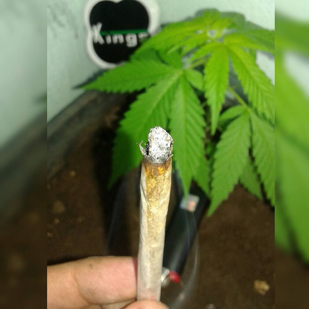 SupaHigh