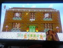Shitty quality pictures of the Festive Texture