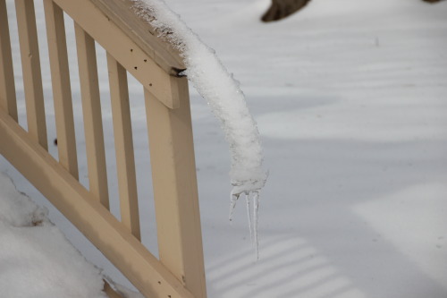 A rather creepy arm of ice has emerged in our backyard… Queen Elsa? Should I be concerned abo