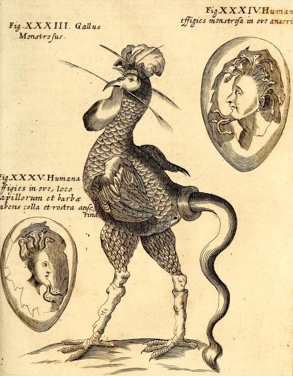 magictransistor:Gaspar Schott. Physica Curiosa, Mirabilia Naturæ et Artis. 1662. 