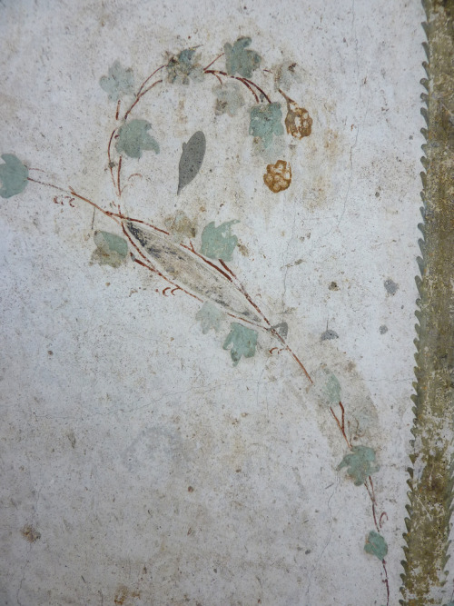 classical-beauty-of-the-past:Villa Poppea Oplontis frescoes by Peter
