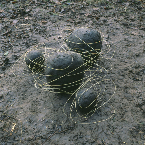 Andy Goldsworthy is a British sculptor, photographer and environmentalist producing site-specific sc