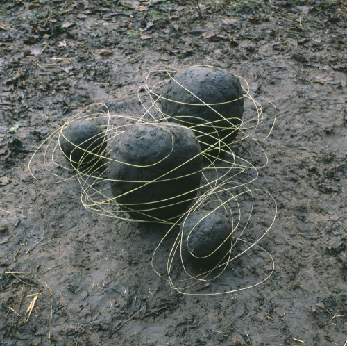 Andy Goldsworthy (British, b. 1956, Cheshire, England) - 1: Serpentine Tree Roots  2: Carefully Brok
