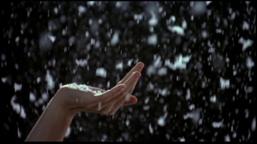 eyesaremosaics: Edward Scissorhands (1990)  Still one of my all time favorite movies, and such a bittersweet joy to watch during Christmas time. 