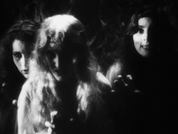 nitratediva:  Dracula’s brides in Drácula (1931), the Spanish language version of the horror classic. 
