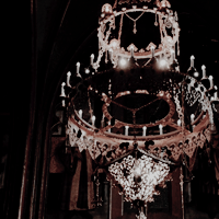 cassiopeis:archive moodboard for @donnattartt