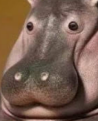 Hey Guys! Sorry For My Absence. I'm Probably Not Gonna Be To Active This Week. I've Got Some Stuff Happening