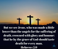 

But we see Jesus, who was made a little lower than the angels for the suffering of death, crowned with glory and honour; that he by the grace of God should taste death for every man