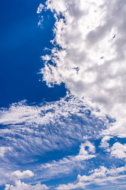 ayustar:  DSC_0173 by johnjmurphyiii on Flickr.