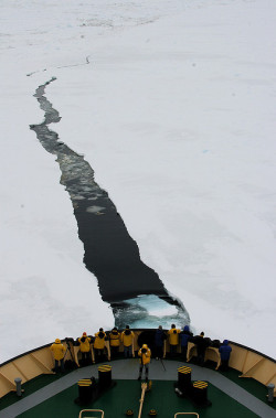 fabforgottennobility: Antarctica, november 2007 by Martha de Jong-Lantink on Flickr.
