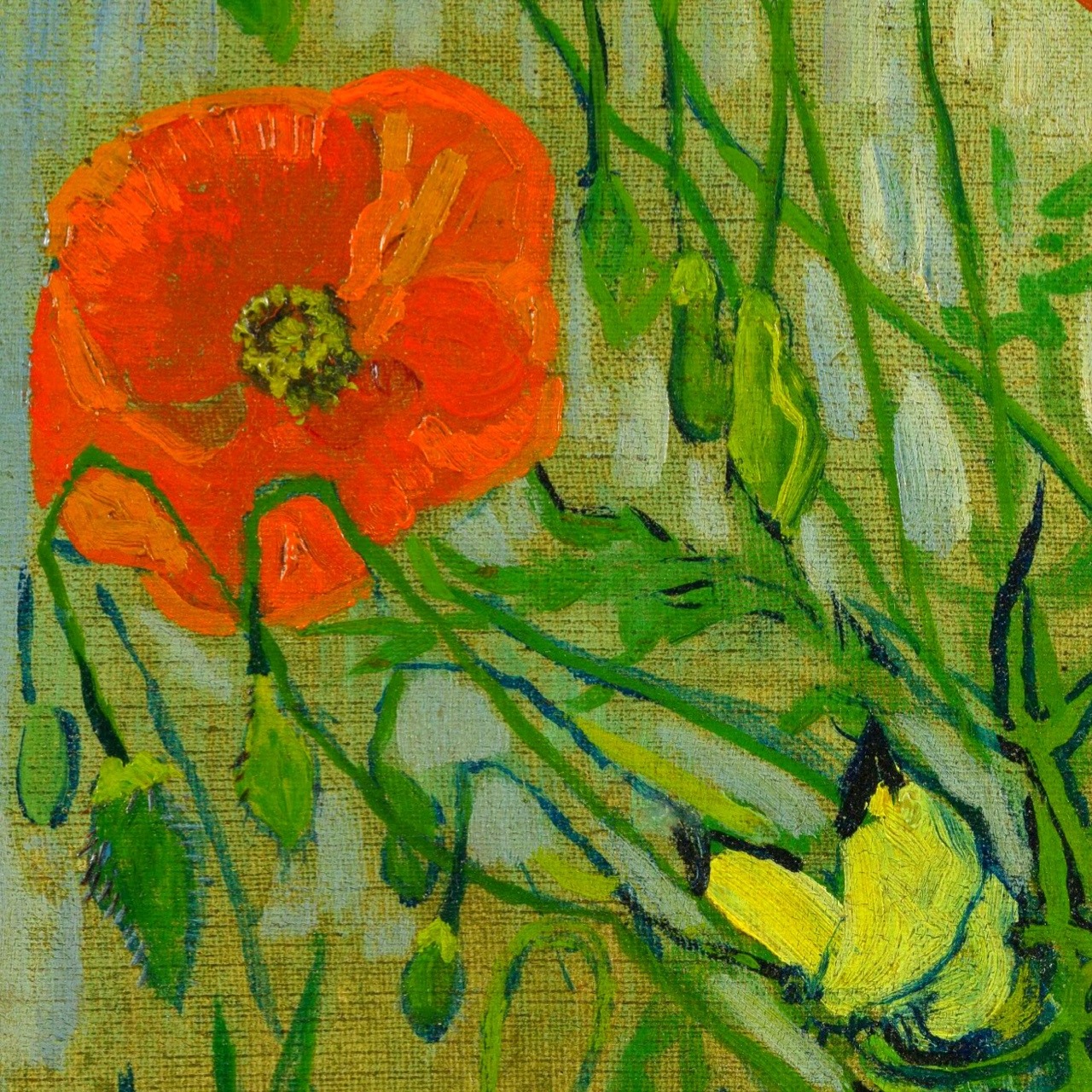 overdose-art:  Art History Meme : [2/6] Themes in Van Gogh’s work   Still Life,