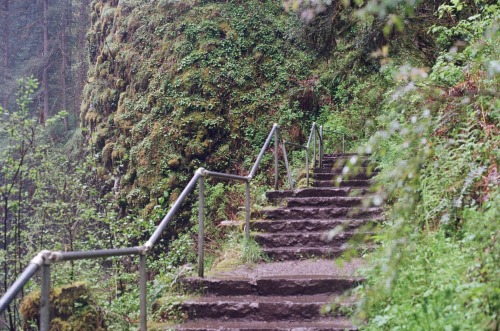 newjackcole:  Silver Falls, May 2022(Canon A-1, Kodak Portra 400 & Fujifilm 200)