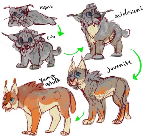 Speculative biology of Eversong Lynxes because I am really just a great, big nerd. Lynxes start grey