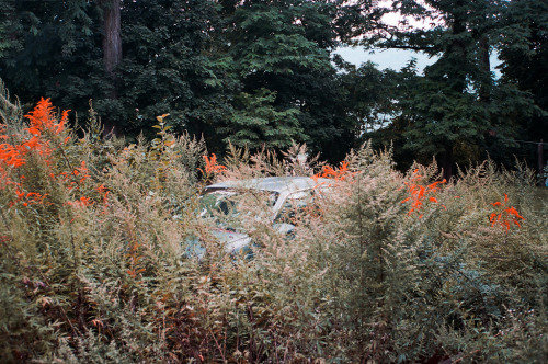 pleoros: Levi Mandel - Untitled, 2013