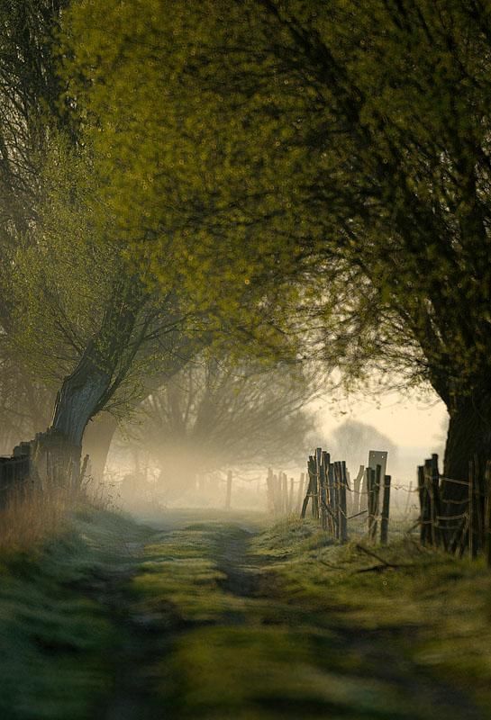 swansong-willows:  (via Pinterest) 