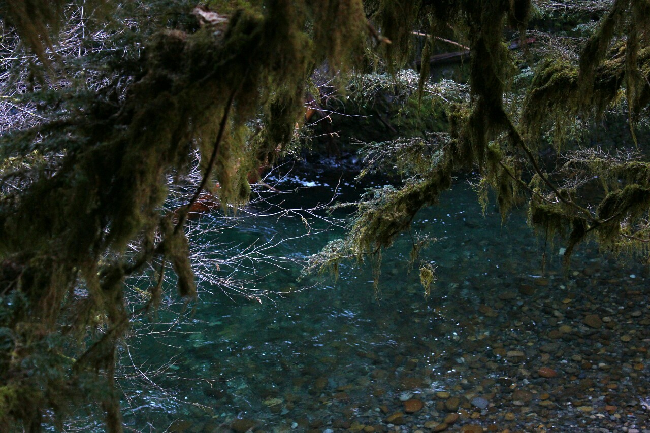 overnitereligion:  eagle creek/punchbowl falls, oregon