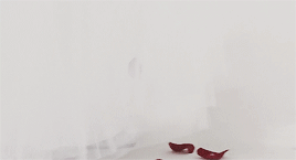 ginnywesleys:It’s twilight. It’s the safest time of day for us. The easiest time. But also the sadde