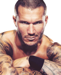 Shitloadsofwrestling:  Randy Orton  This Picture Never Fails To Get Me &Amp;Ldquo;Excited&Amp;Rdquo;