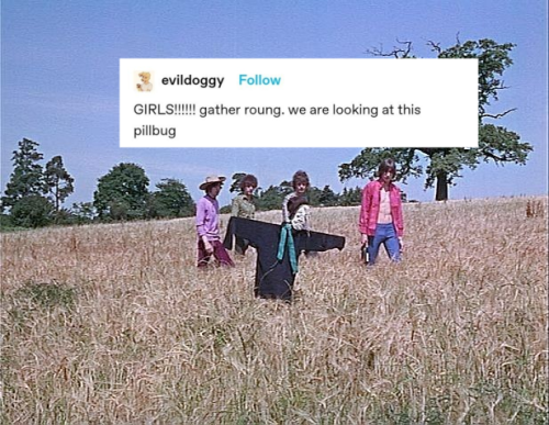 Pink Floyd Textposts