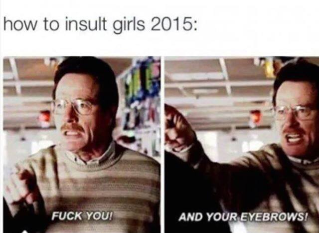 funnyand:  Insult Girls 2015And your eyebrows!
