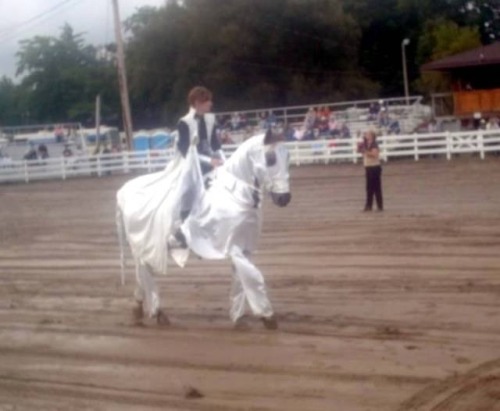 geminithunder:  yugi-muto:  false-mem:  Ladies, look at your man, now look at me, that’s Seto Kaiba on a horse as the Blue Eyes White Dragon. Source  Me on my way to win yo Egyptian God cards.  I FEEL CHALLENGED 