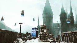 kinghanalister:  AU: Daleks attack Hogwarts. *if the last gif isn’t moving, sorry, i’ll have to fix that later*  THIS IS THE MOST UNNERVING BUT COOL THING