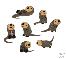sketchinthoughts:  otter fun 