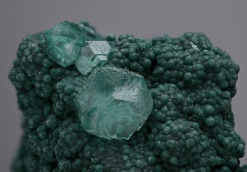 vugnasmineralblog:SMITHSONITE ON ROSASITE Tsumeb Mine, Tsumeb, Oshikoto Region (Otjikoto Region), Na