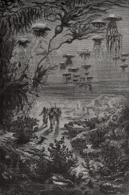 magictransistor:Alphonse de Neuville (after Édouard Riou), Vingt mille lieues sous les mers: Tour du