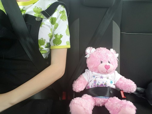 sweet-baby–zoe:  🐻♡ safety first!! ♡🐻 