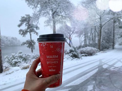 Walking in a Wawa wonderland ❄️Photo: @linzbalas