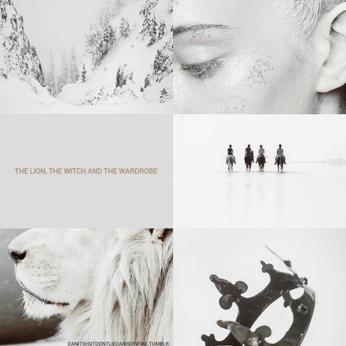 The Chronicles Of Narnia  [x] “One day, you will be old enough to start reading fairytales again.”