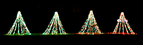 Merry and bright