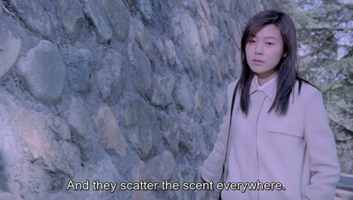 Ditto (Kim Jeong-kwon, 2000)