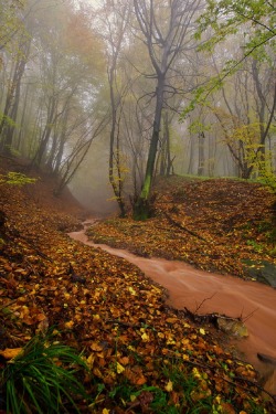 sublim-ature:  Giovo, ItalyGiorgio Dalvit 