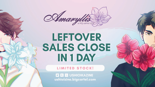 ✿ LEFTOVER SALES CLOSE IN 1 DAY! ✿You read that right! Amaryllis: A HQ UshiOi Zine is nearing the en