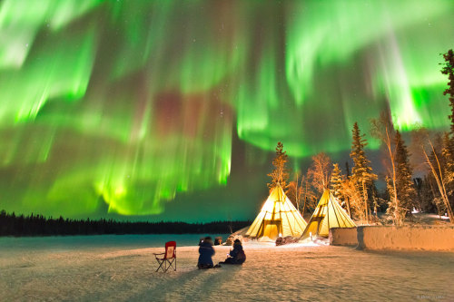gravitationalbeauty:  Auroras over Northern Canada   