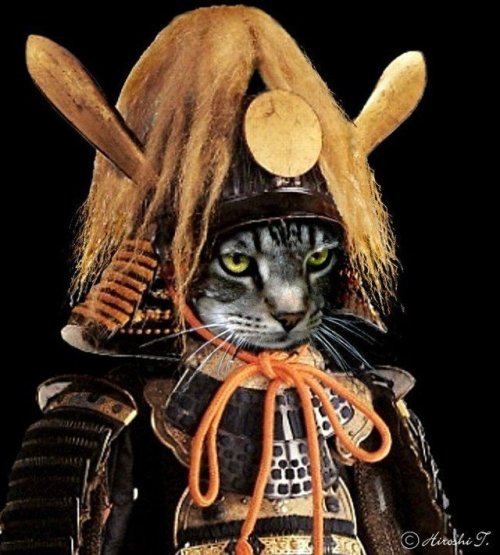 sabanasblancasuniverse:@41Strange: Samurai Cats(by T. Hiroshi)@petermorwood