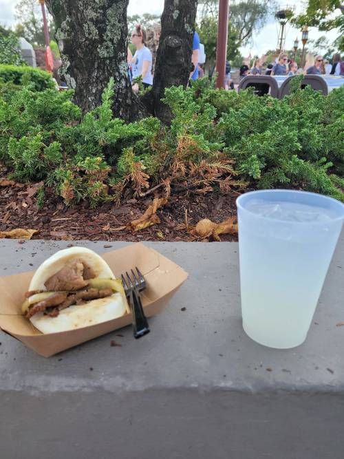 Day Off At Epcot!