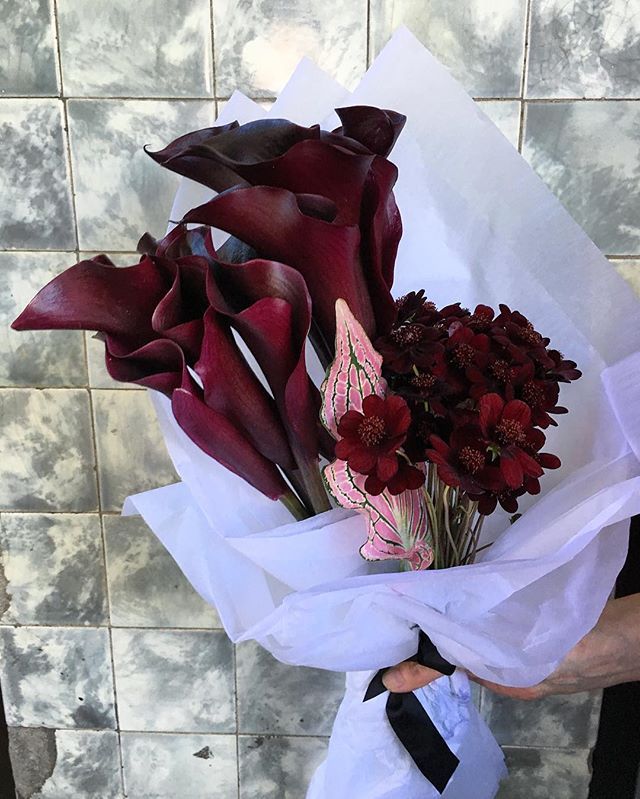 saintlaurentgirl:  https://www.instagram.com/p/BBtNanYo6D7/ 