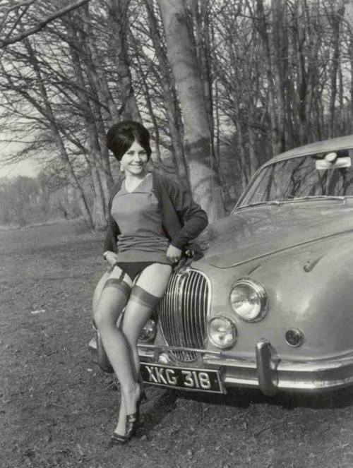 visualobscurity:  Jaguar. 