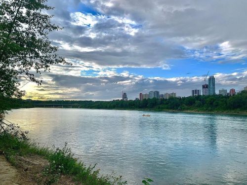 Scenic views from the banks of the River Valley. #edmontonrivervalley #edmontonrivervalleytrails #ev