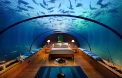 creativehouses:  Awesome Underwater Bedroom Design