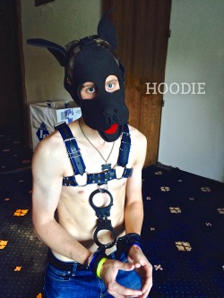puphoodie:  So… who likes handcuffed puppies?Find