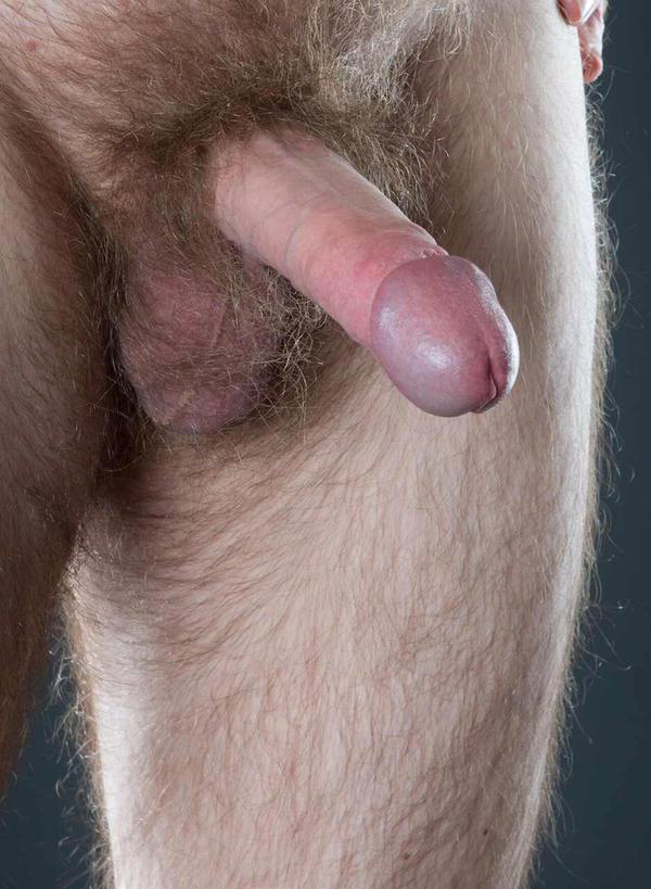 hairypo:  Blonde hairy perfection