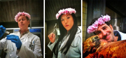 nbchannibal:  Team Sassy Flower Crowns. They