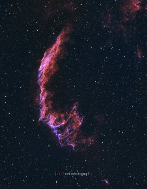 without-ado:  “The cosmos is all that is, or ever was, or ever will be.” —Carl Saganl Nebulae by Pau Roche 