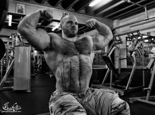 furonmuscle:  Friday Furbies # 1