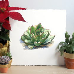 aaronapsley:    Botanical art prints are the perfect gifts for plant lovers! Use promo code “holidayshipping” this month on my website for free domestic shipping. Order by December 16th to ensure delivery by Christmas. www.aaronapsley.comThis one
