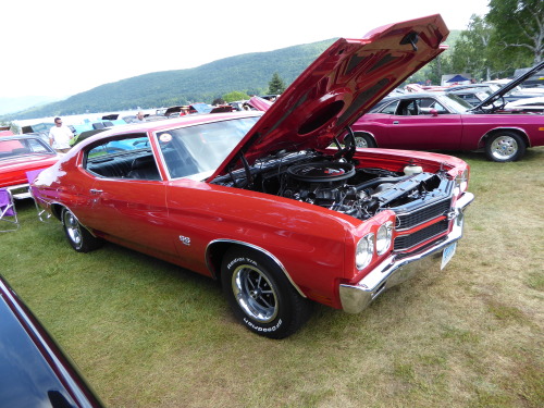 fromcruise-instoconcours:  Malibus and Chevelles